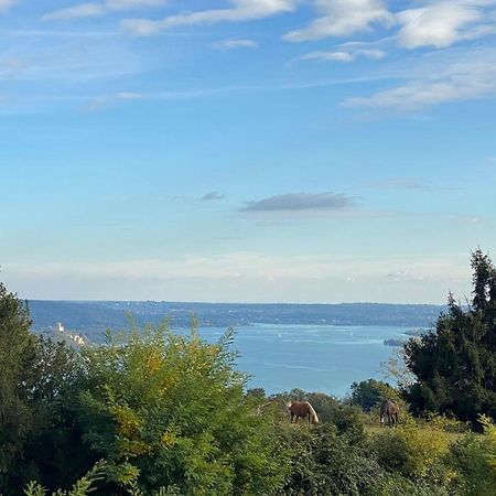La Garconnierre Del Lago Maggiore Nebbiuno Exteriör bild
