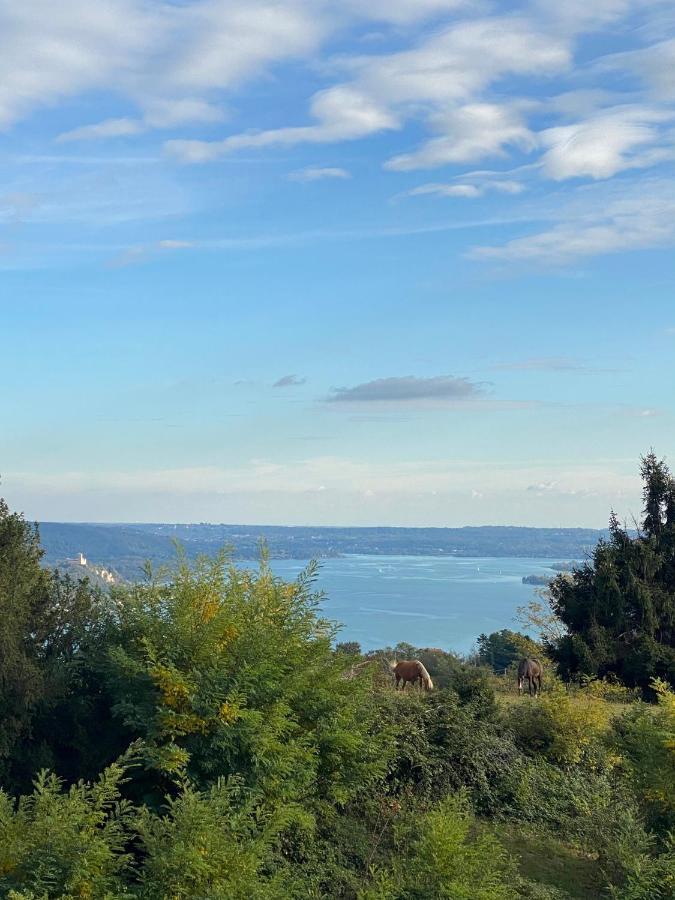 La Garconnierre Del Lago Maggiore Nebbiuno Exteriör bild